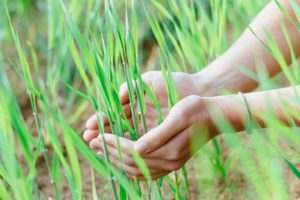 como disminuir la huella ecológica
