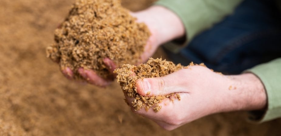 materia prima bagazo de caña de azúcar
