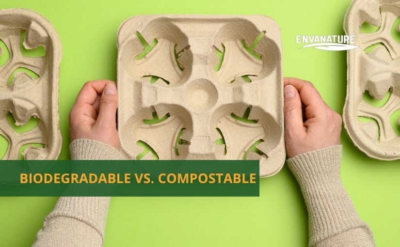 biodegradable vs compostable